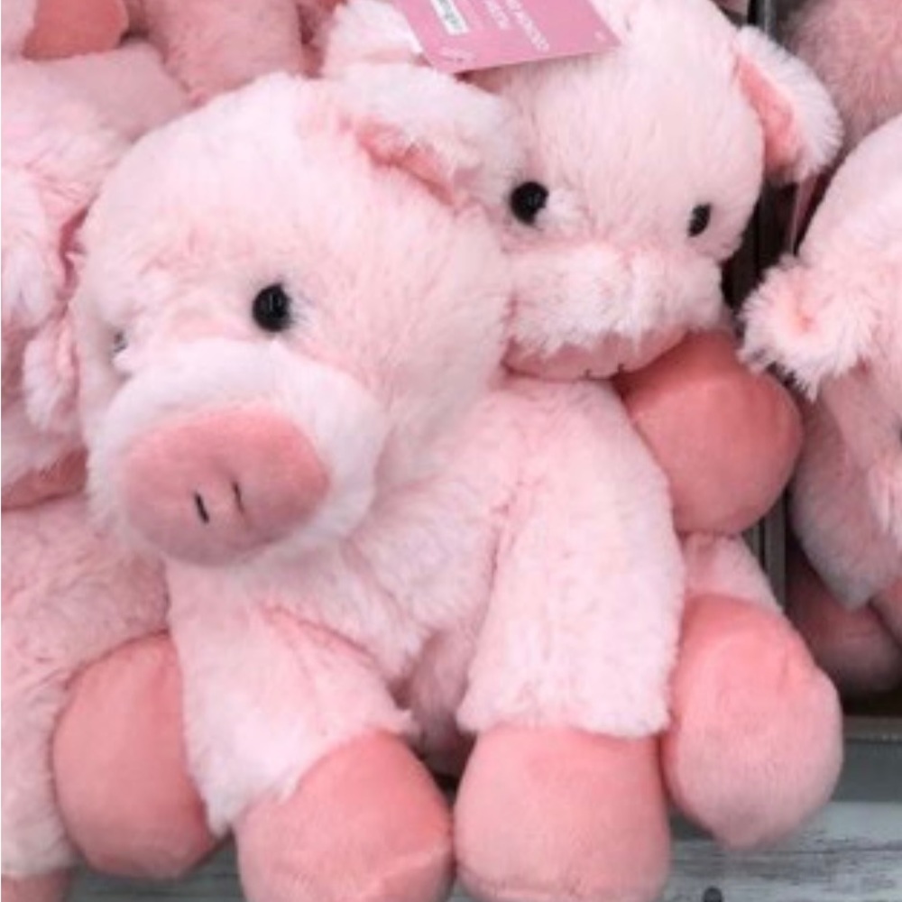 ISO - Pink Plush Stuffed Pig - Michaels Creatology
